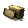 Chest of gold